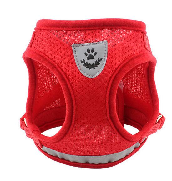 Harnais et Laisse pour Chien – Confort & Sécurité