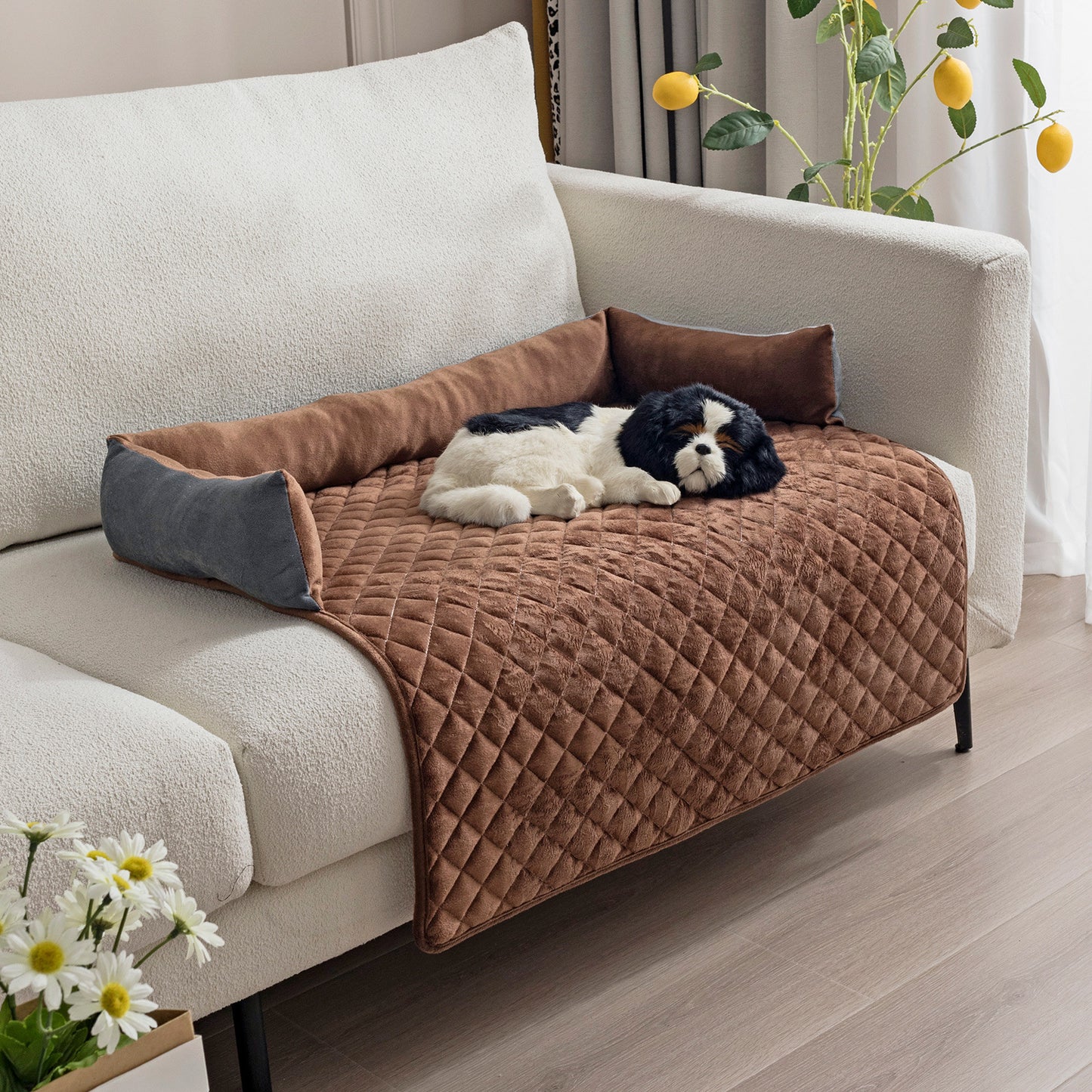 Canapé-Lit pour Chien et Chat – Coussin Chaud & Protecteur de Meuble
