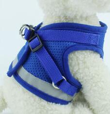Harnais et Laisse pour Chien – Confort & Sécurité