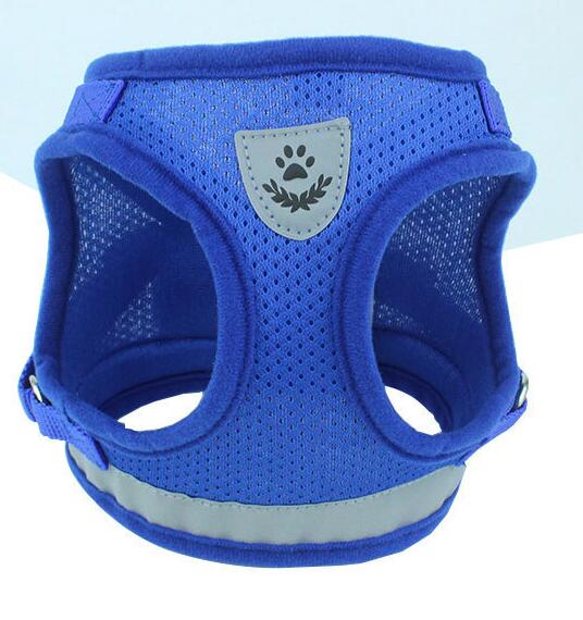 Harnais et Laisse pour Chien – Confort & Sécurité