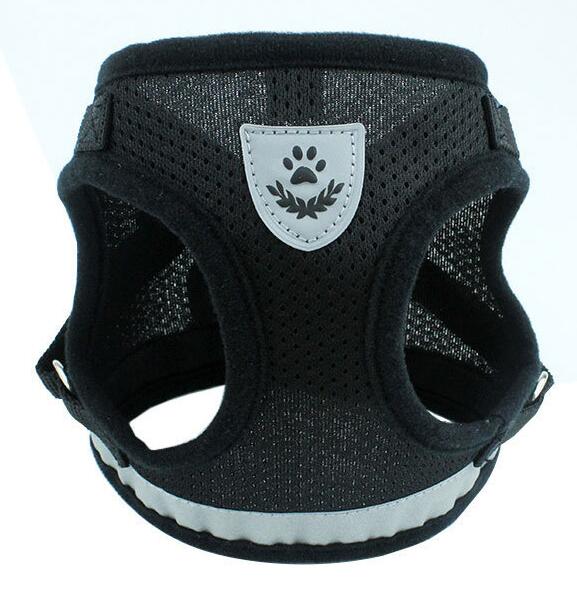 Harnais et Laisse pour Chien – Confort & Sécurité